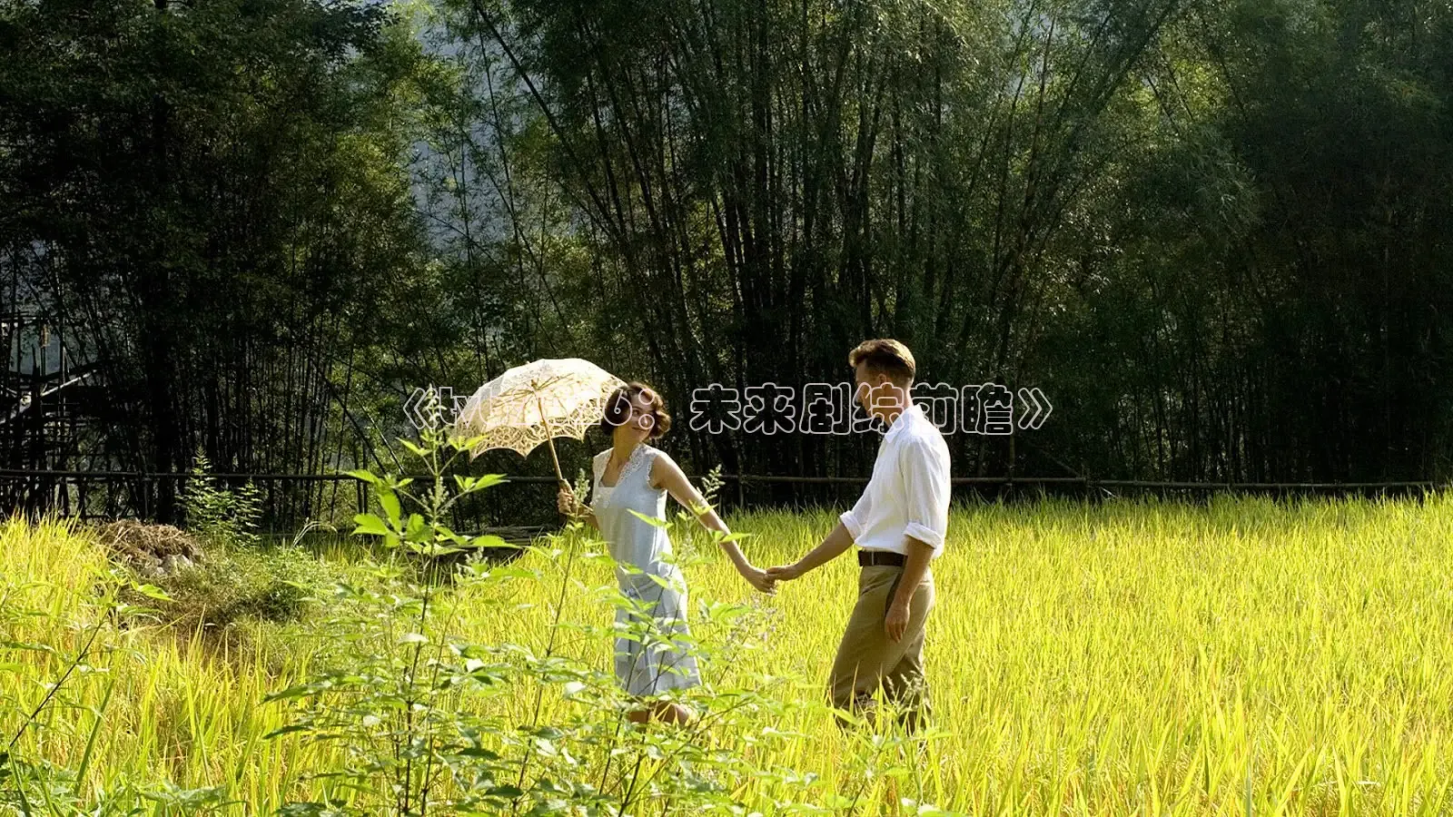 《tvb2026：未来剧综前瞻》